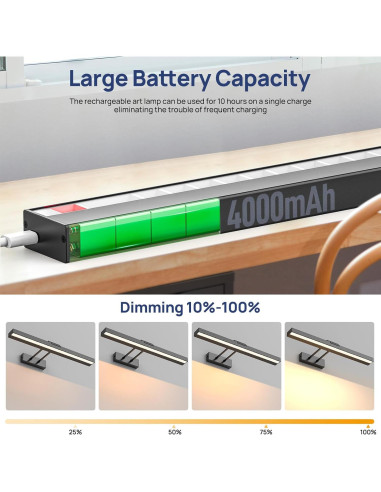 Luz de Imagen Inalámbrica PESUTEN 40.6cm Regulable con Control Remoto