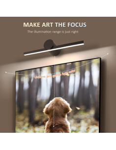 Luz de Imagen Inalámbrica BOLANG 29 cm Recargable con Control Remoto 2