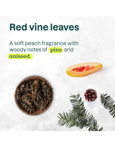 Champú Colorlast ATTITUDE 473 ml - Vegano y Natural