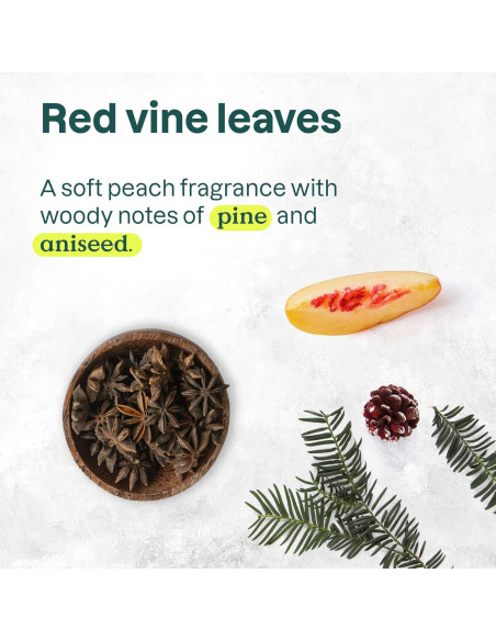 Champú Colorlast ATTITUDE 473 ml - Vegano y Natural