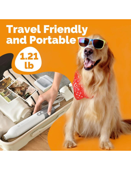 Secador de Pelo para Perros Jellyfish PD100 0.55kg 2 en 1