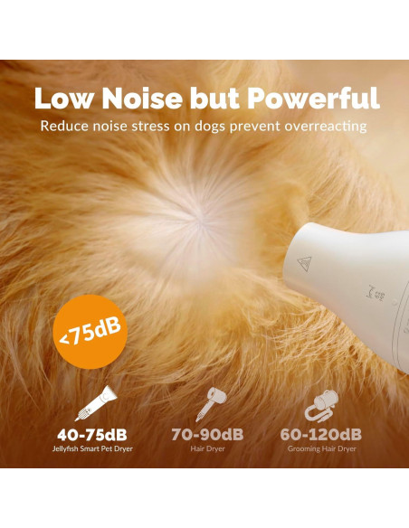 Secador de Pelo para Perros Jellyfish PD100 0.55kg 2 en 1