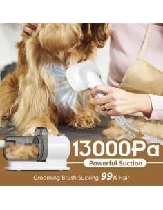 Aspiradora para Mascotas Tuanchuanrp 6 en 1 2.5L Silenciosa 2