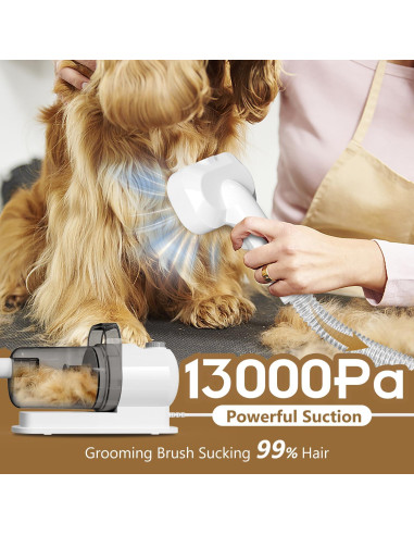 Aspiradora para Mascotas Tuanchuanrp 6 en 1 2.5L Silenciosa