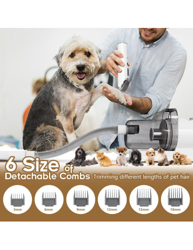 Aspiradora para Mascotas Tuanchuanrp 6 en 1 2.5L Silenciosa