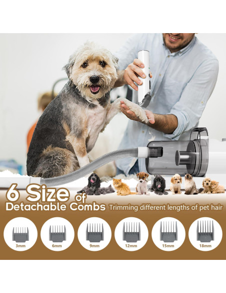 Aspiradora para Mascotas Tuanchuanrp 6 en 1 2.5L Silenciosa