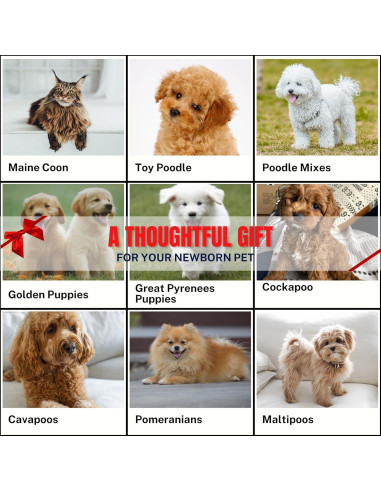 Cepillo Slicker para Perros y Gatos ENUKYCOM - Grooming Efectivo