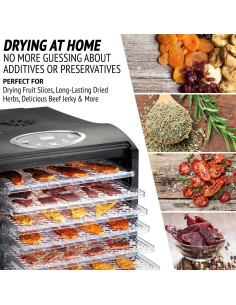 Deshidratador de Alimentos Ivation 9 Bandejas 600W Digital 2