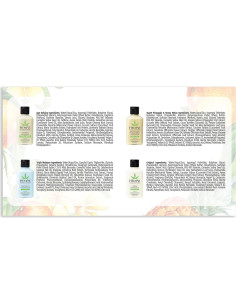 Set de Regalo Mini Lociones Hempz 4 Piezas 63.5 g Hidratantes 2