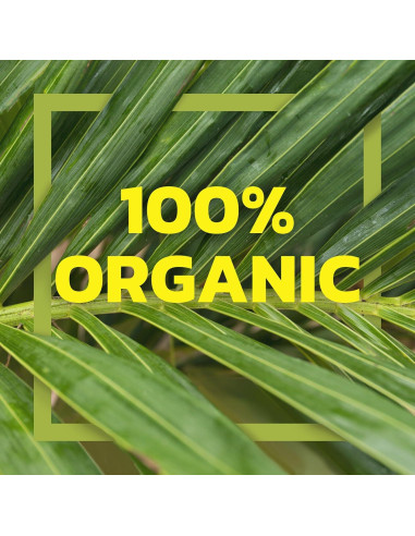 Crema de Coco Orgánica Native Forest 160 ml - Paquete de 12