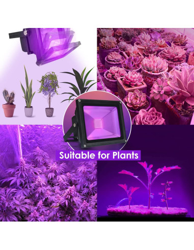 Luz Negra LED 20W LANFU Proyector IP66 para Fiestas y Acuarios