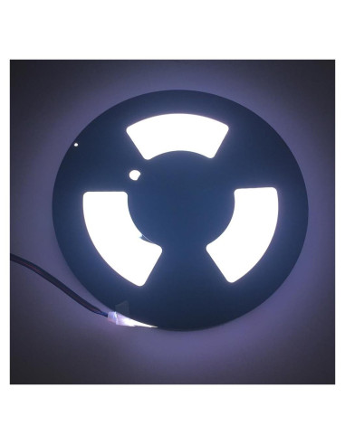 Luz de Neón LED Silicona 12V 5m 6500K Impermeable YXH