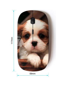 Ratón Inalámbrico Óptico KOOLmouse M-3005407 2.4G 2