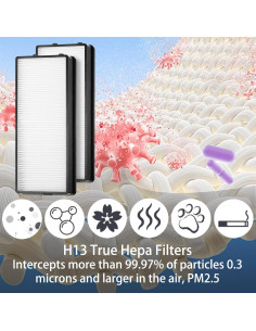 Filtros de Reemplazo HEPA y Carbono HoMedics AT-PET01/02 2