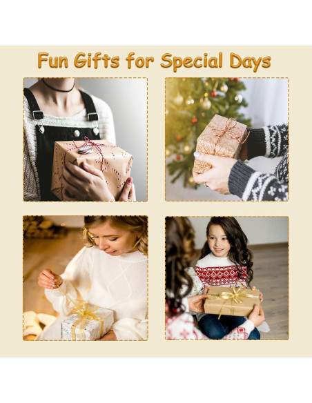 Kit de Jardín Zen Japonés The Left Bridge - Alivio del Estrés