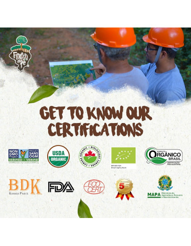 Nueces de Brasil Orgánicas Premium Floresta en Pie 907g Tostadas