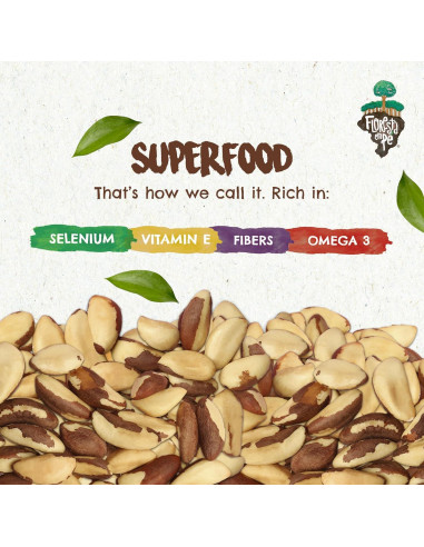 Nueces de Brasil Orgánicas Premium Floresta en Pie 907g Tostadas