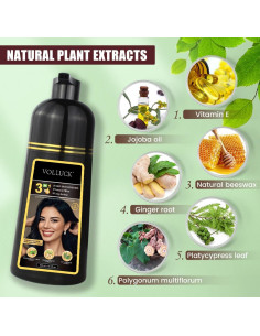 Champú para Teñir VOLLUCK 3 en 1 Marrón Castaño 560g 2