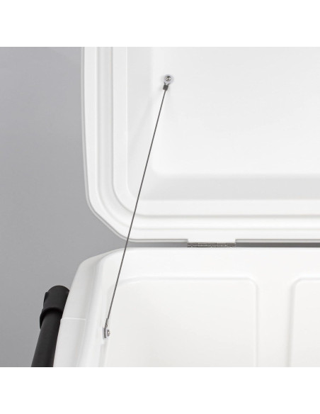 Correa de Tapa de Enfriador LBB-Parts Acero Inoxidable 14"