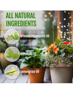 Varitas Repelentes de Mosquitos Mintronella - 100 Unidades 2