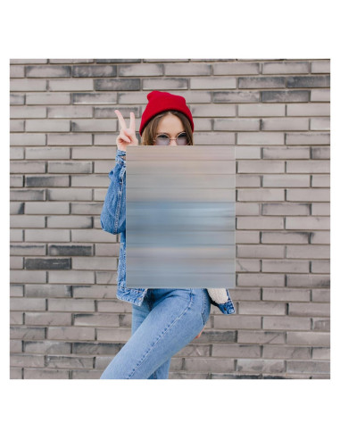 Escudo de Invisibilidad OWLHAUS 43.18x33.02cm con Mangos