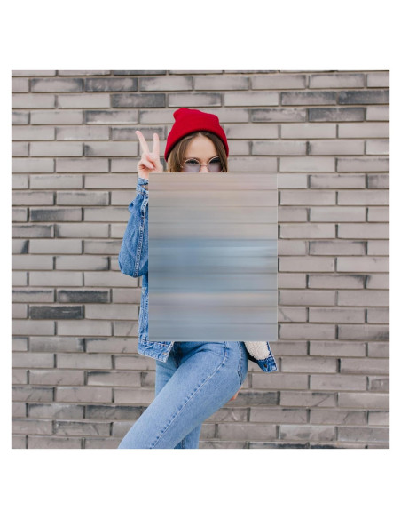 Escudo de Invisibilidad OWLHAUS 43.18x33.02cm con Mangos