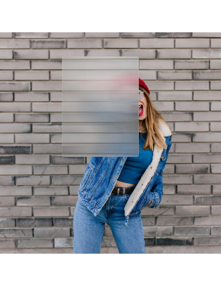 Escudo de Invisibilidad OWLHAUS 43.18x33.02cm con Mangos