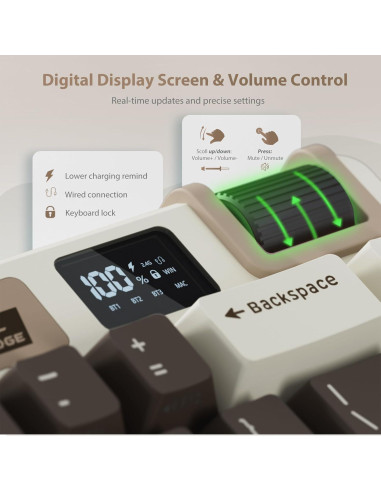 Teclado Mecánico Inalámbrico RK ROYAL KLUDGE M70 75% RGB