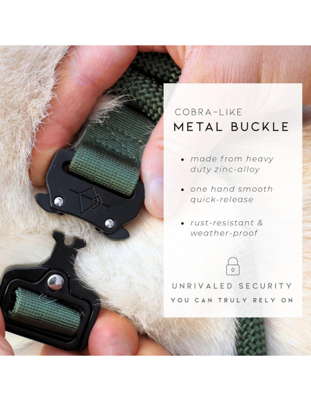 Collar para Perros Flowe Nylon Ajustable Impermeable 1.27cm