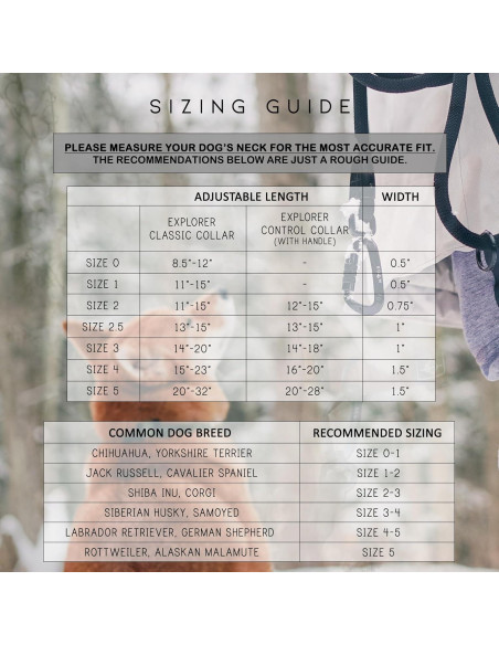 Collar para Perros Flowe Nylon Ajustable Impermeable 1.27cm