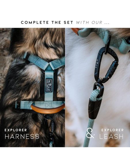 Collar para Perros Flowe Nylon Ajustable Impermeable 1.27cm