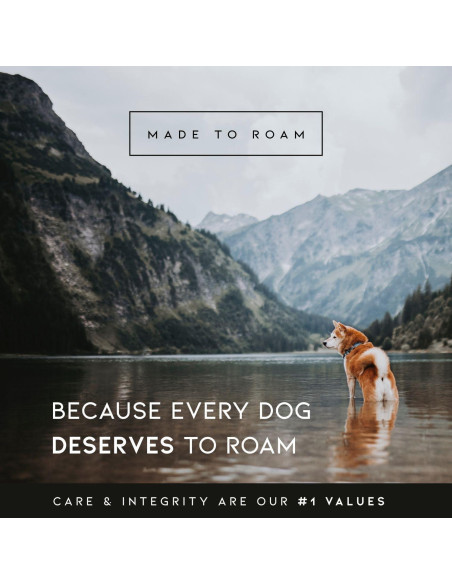 Collar para Perros Flowe Nylon Ajustable Impermeable 1.27cm