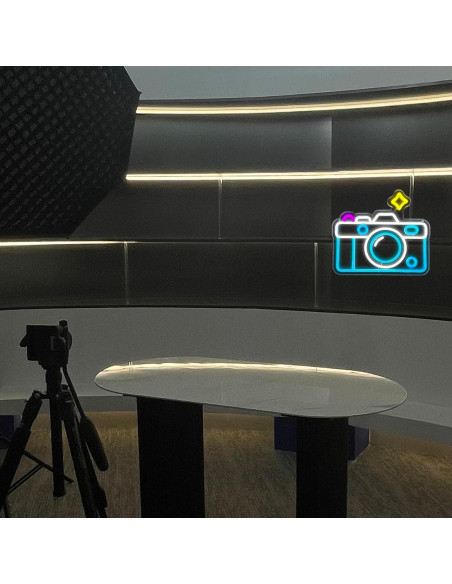 Luz de Neón LED Cámara Manimo 33.8x30.9 cm USB Decorativa