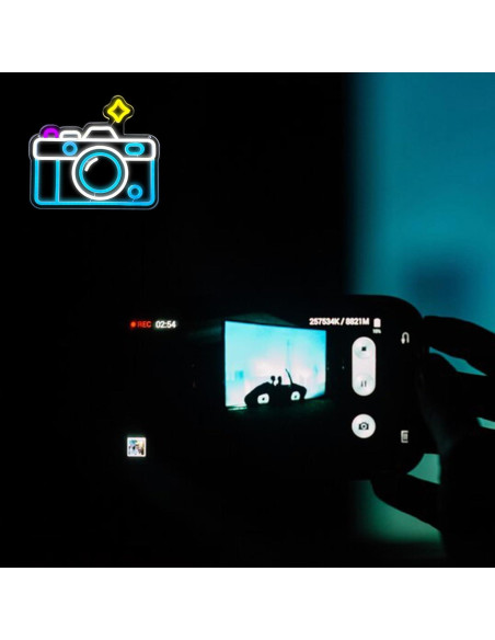 Luz de Neón LED Cámara Manimo 33.8x30.9 cm USB Decorativa