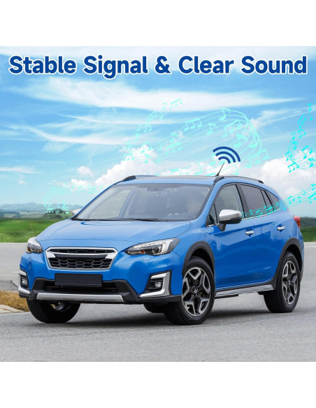 Antena Amplificada FM/AM Eightwood para Coche 12V 4.88m