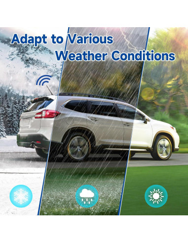 Antena Amplificada FM/AM Eightwood para Coche 12V 4.88m