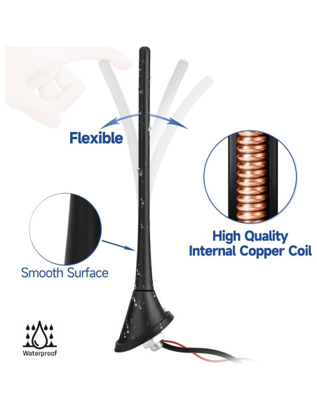 Antena Amplificada FM/AM Eightwood para Coche 12V 4.88m