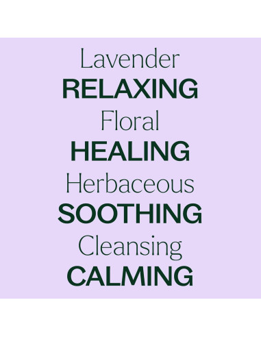 Aceite Esencial de Lavanda Plant Therapy 100% Puro 10 mL