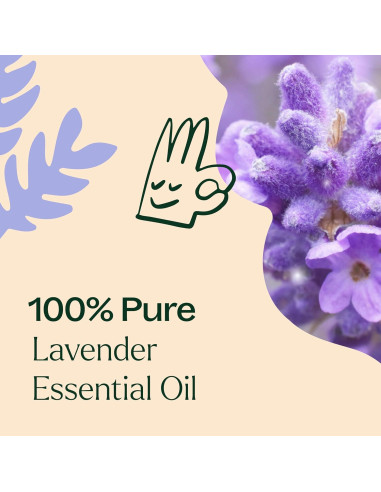 Aceite Esencial de Lavanda Plant Therapy 100% Puro 10 mL