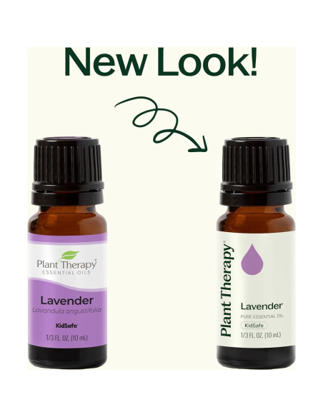 Aceite Esencial de Lavanda Plant Therapy 100% Puro 10 mL