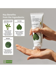 Espuma Limpiadora Calmante Heartleaf 120ml - Coreana para Piel Sensible 2