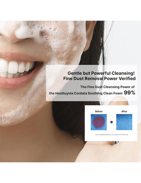 Espuma Limpiadora Calmante Heartleaf 120ml - Coreana para Piel Sensible Espuma Limpiadora Calmante Heartleaf 120ml - Coreana para Piel Sensible