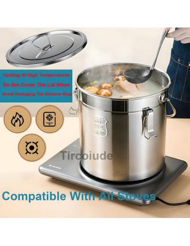 Canasta de Acero Inoxidable 6L Tircoiude con Tapa Hermética