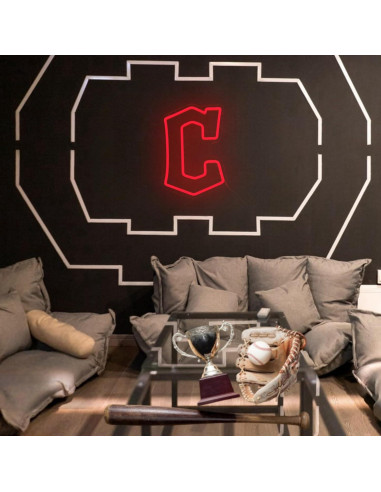 Luz de Neón LED Cleveland Guard 42.93x28.45 cm Regulable