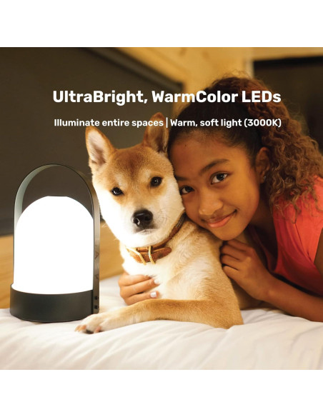 Lámpara de Mesa Portátil Bask Kin 3.0 Recargable 4000mAh