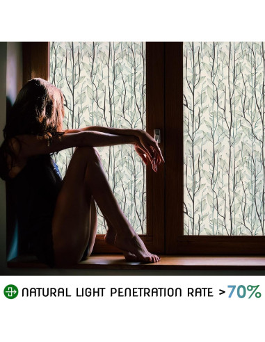 Película de Ventana DKTIE Privacidad 0.89m Verde Oscuro