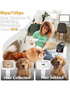 Aspiradora de Aseo para Perros FOTING 5 en 1 12000Pa 2