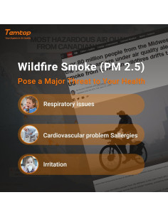 Monitor de Calidad de Aire Temtop P600 PM2.5 y PM10 2