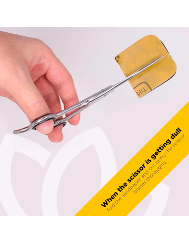 Juego de Tijeras de Corte de Cabello Equinox 6.5" Profesional