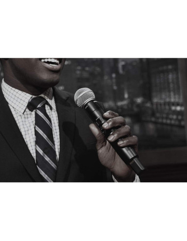 Transmisor de Mano Shure SLXD2 con Micrófono Beta 58A